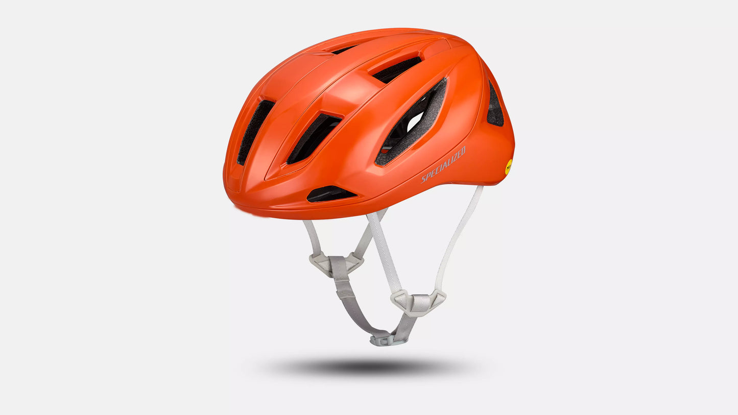 Specialized Search